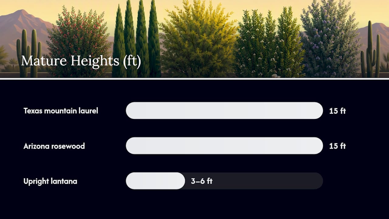 Comparison chart of desert privacy plants features