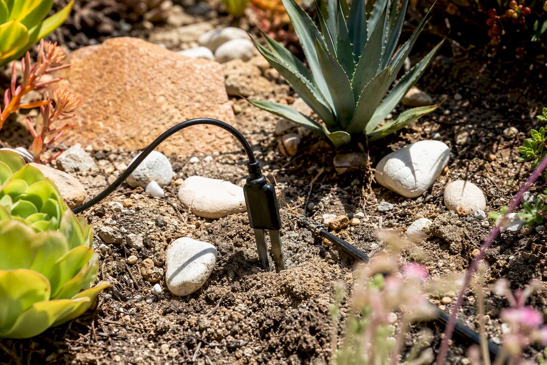 Soil moisture sensor in desert garden bed