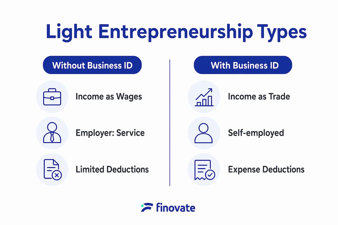 Infographic comparing light entrepreneurship types