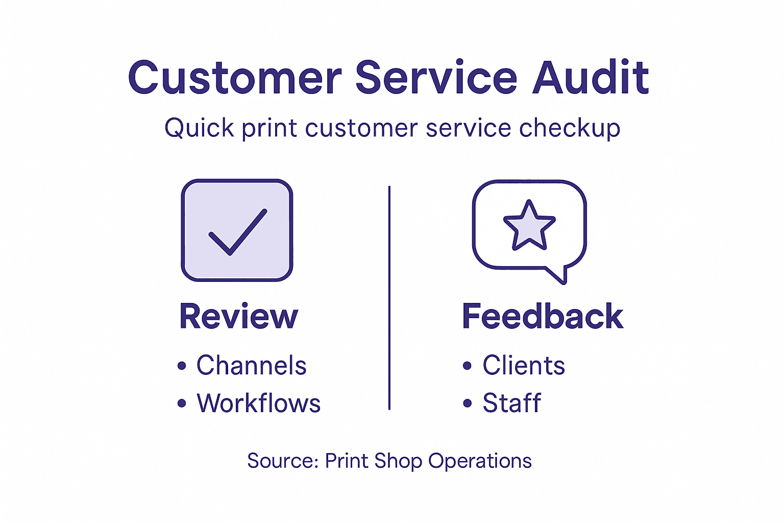 Infographic Summarizing Customer Service Audit Steps