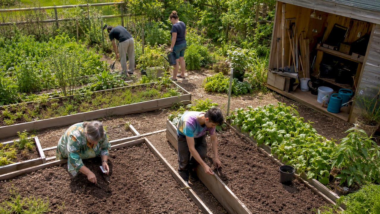 Des bĂ©nĂ©voles sâactivent dans un jardin partagĂ©, profitant du plein air pour cultiver ensemble et renforcer le lien social.