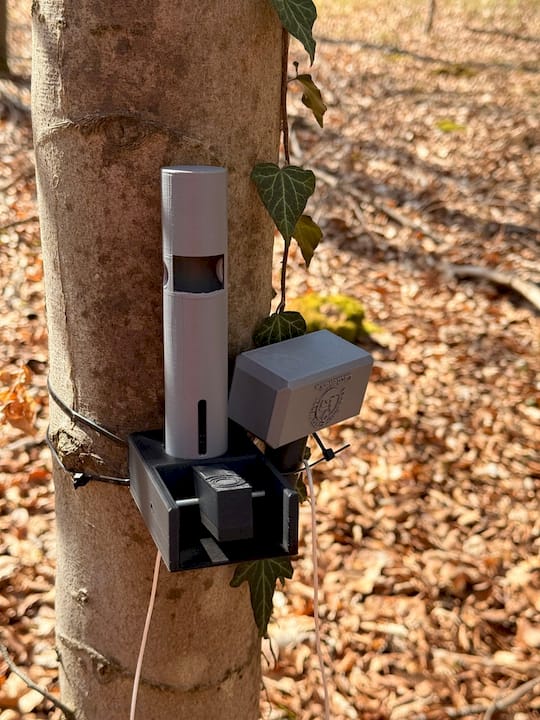 Geocaching Trick‑Versteck – Mini Hau‑den‑Lukas mit verstecktem Logbuch im Hammergriff