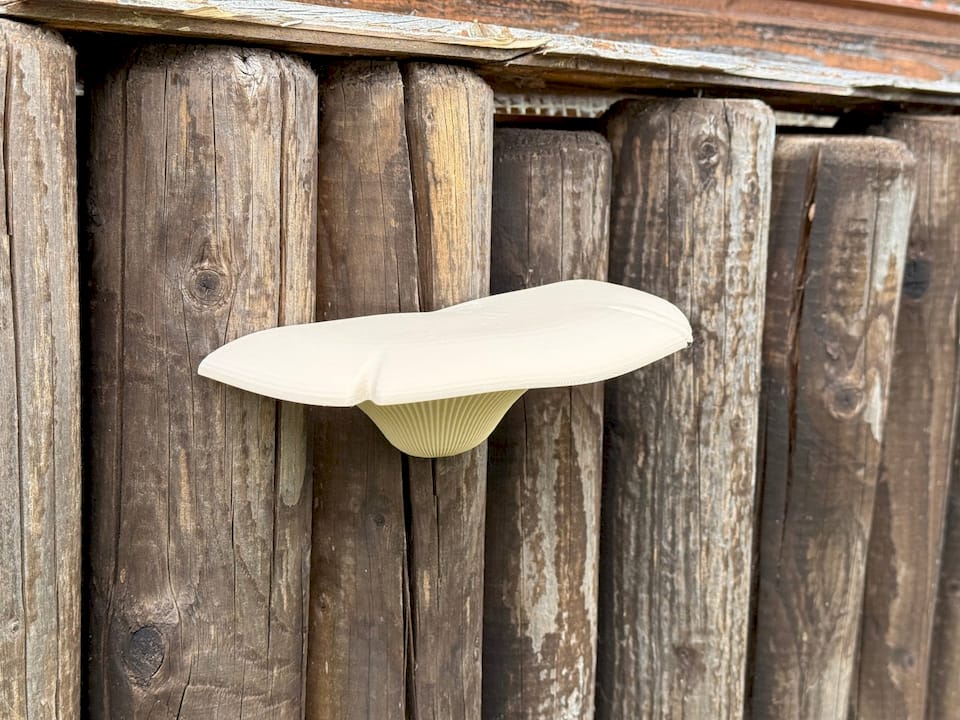 Baumpilz‑Geocache Versteck – realistisches Tarnversteck für Wald & Natur