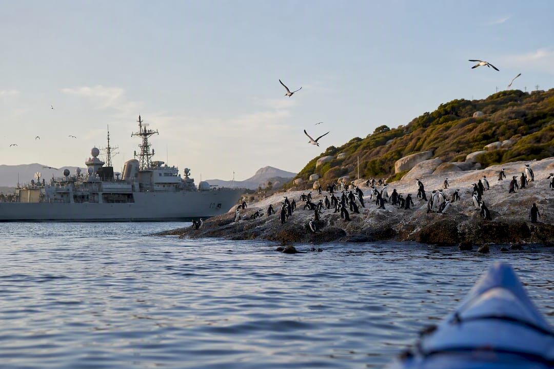 Naval harbor and penguin colony alongside water