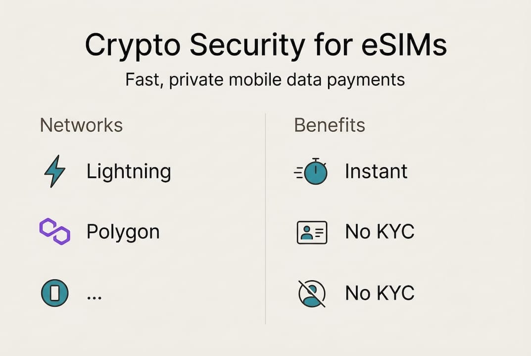 Infographic showing crypto eSIM networks and benefits