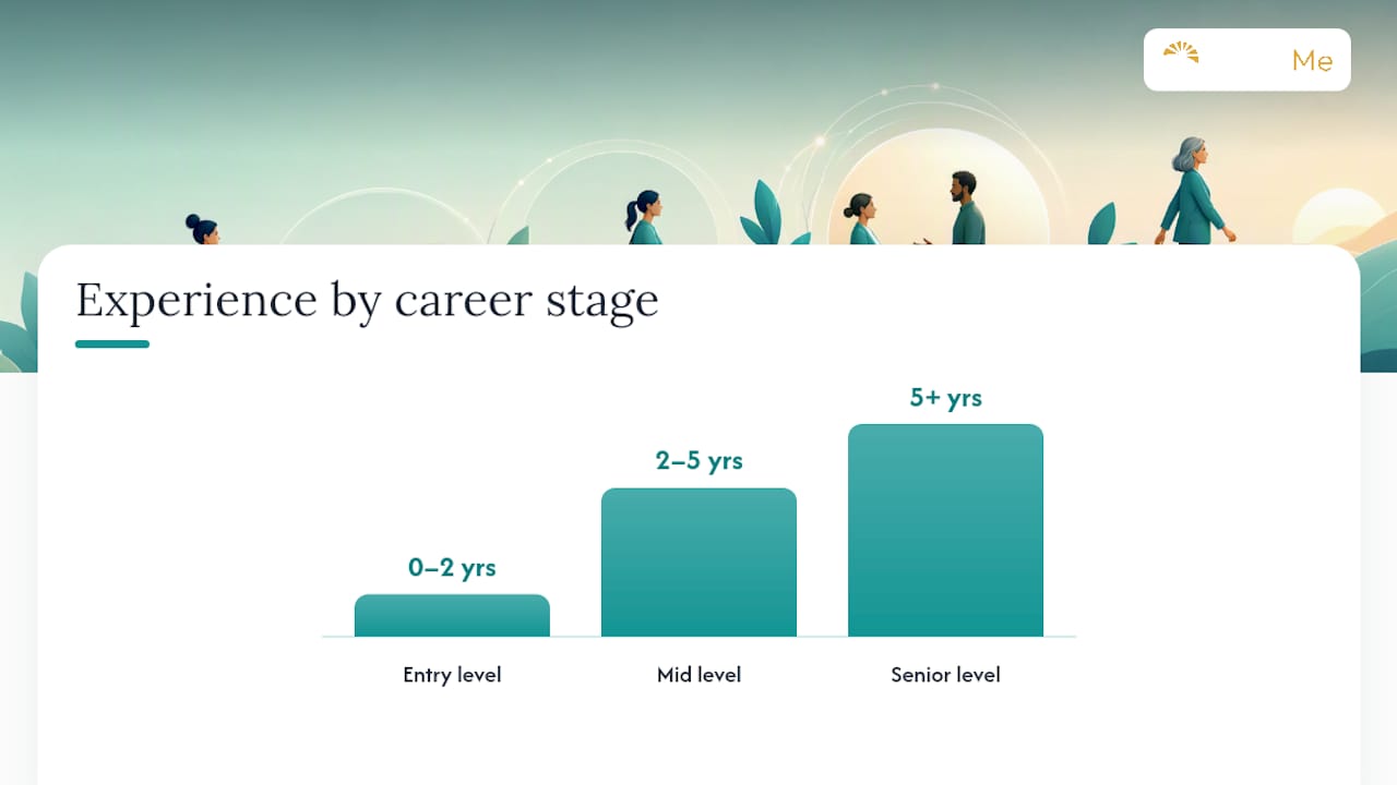 How much experience do therapists need at each career stage? — overview diagram