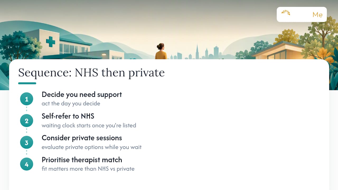 Why the "NHS or private" framing misses the point — overview diagram