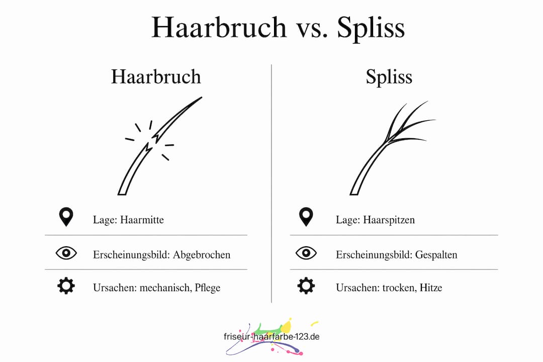 Infografik: Haarbruch vs. Spliss – Die wichtigsten Unterschiede auf einen Blick