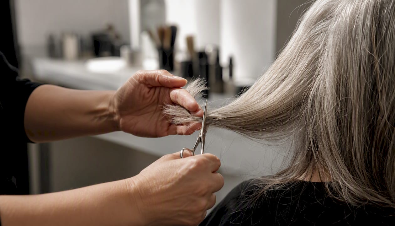 Frisör beim Kürzen der grauen Haarspitzen, Nahaufnahme