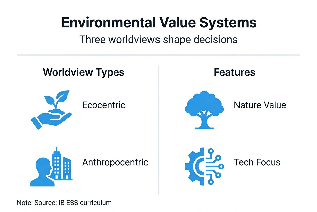 Infographic summarizes main environmental value systems