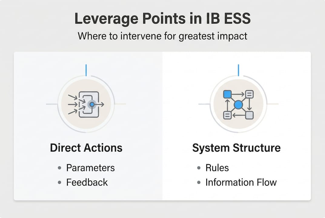 Infographic leverage points in IB ESS