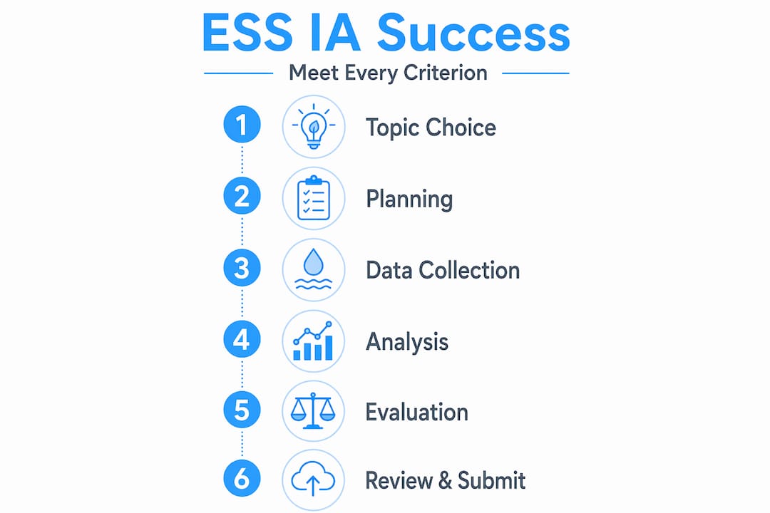 Infographic of ESS IA success steps