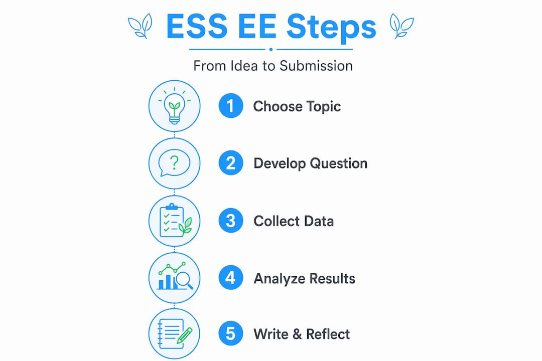 Infographic showing ESS extended essay process steps