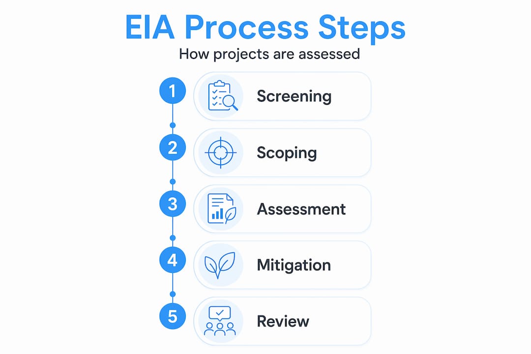 Infographic showing five steps of EIA process