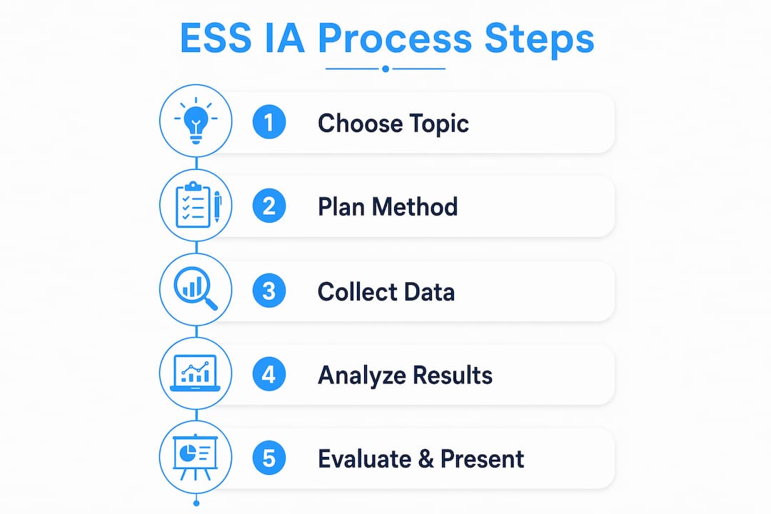 Infographic illustrating ESS IA process steps