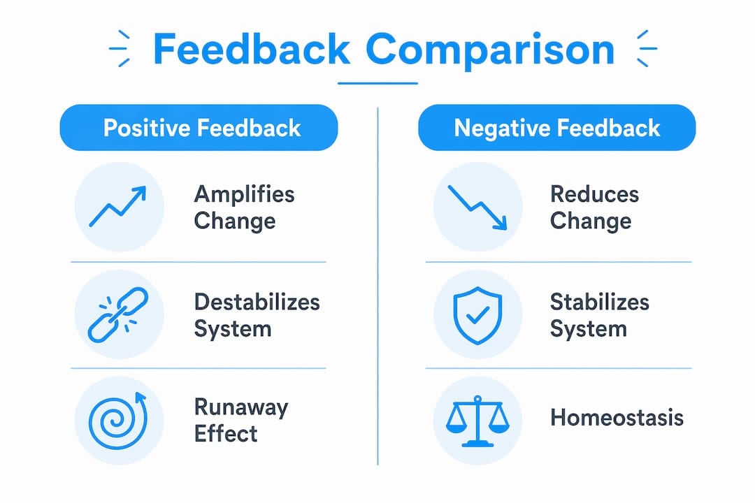 Infographic comparing positive and negative feedback