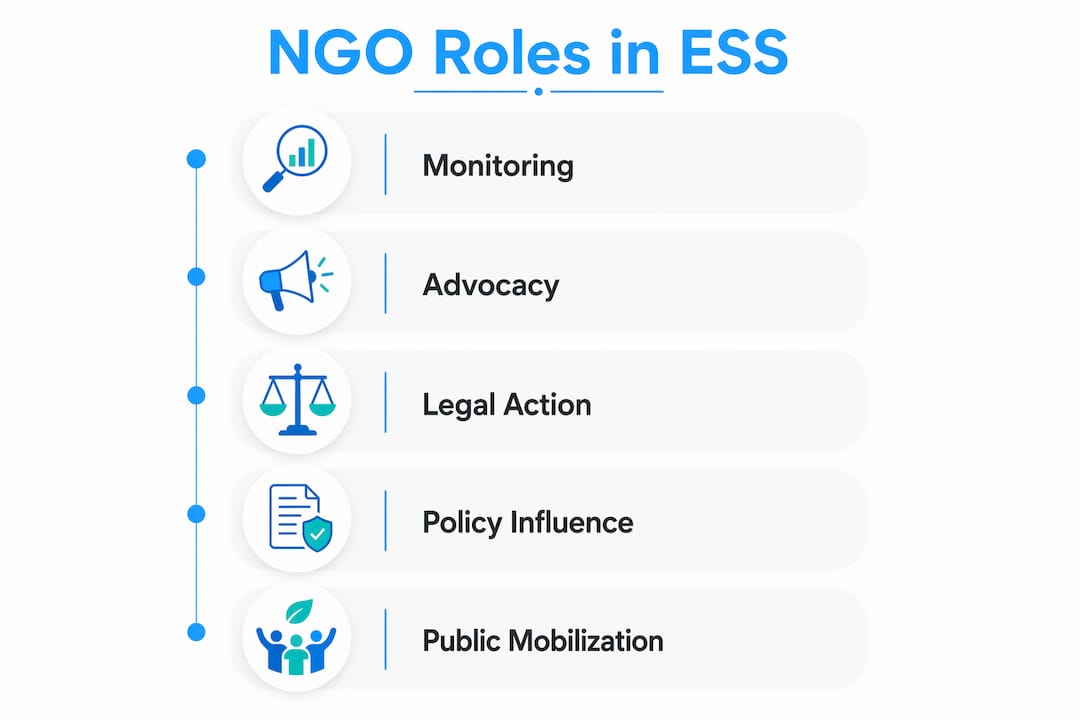 Infographic illustrating core NGO roles in environmental systems