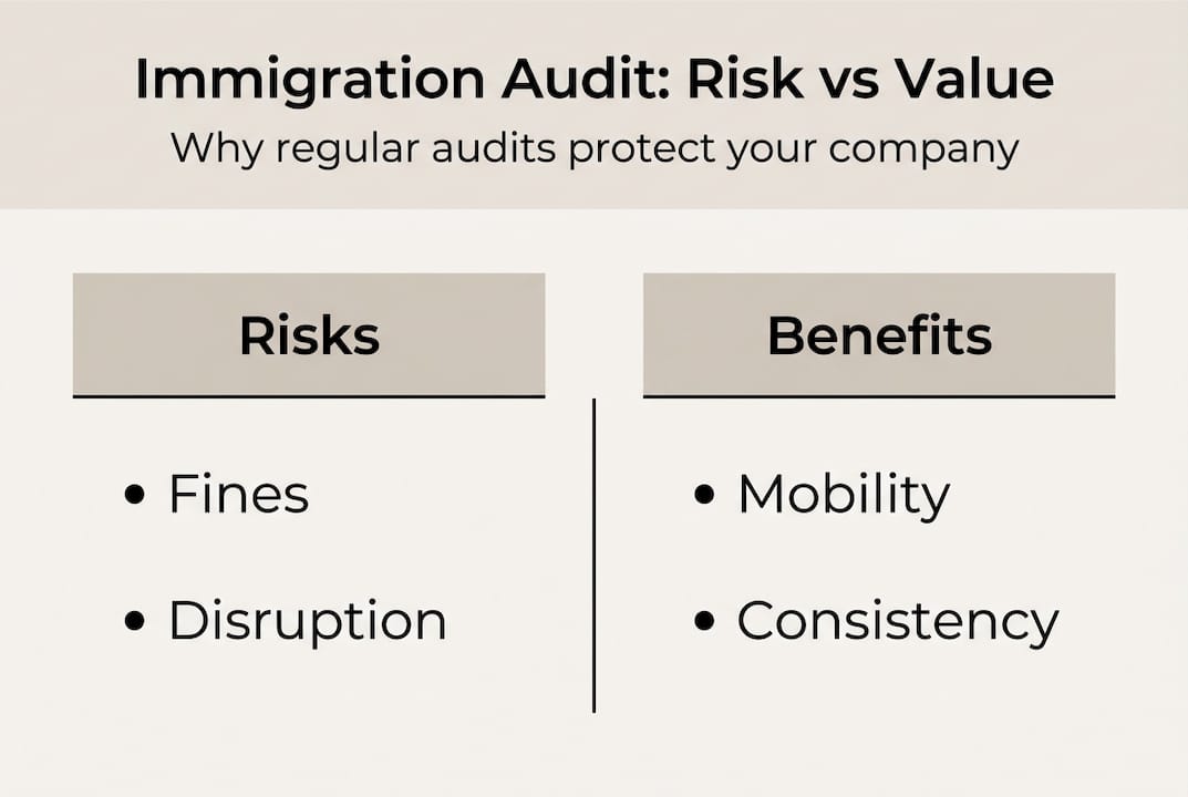 Infographic shows immigration audit risks and benefits
