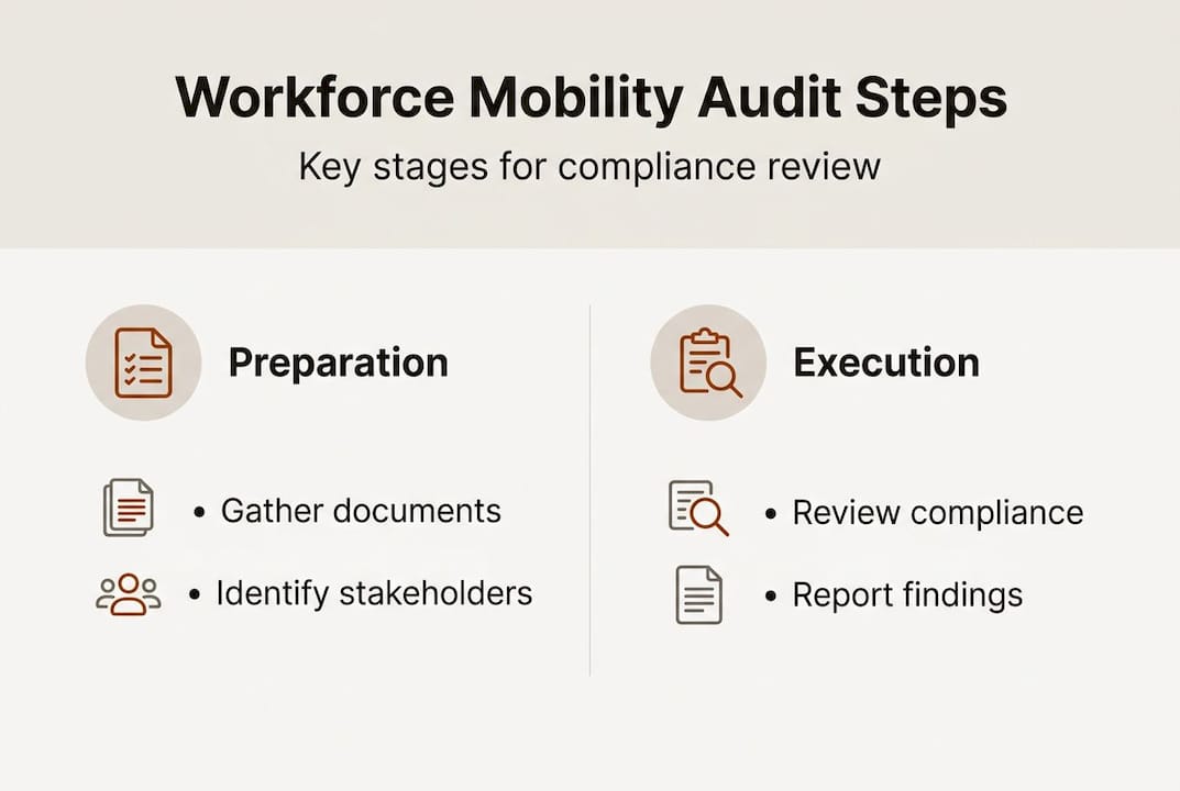 Infographic overview of mobility audit steps