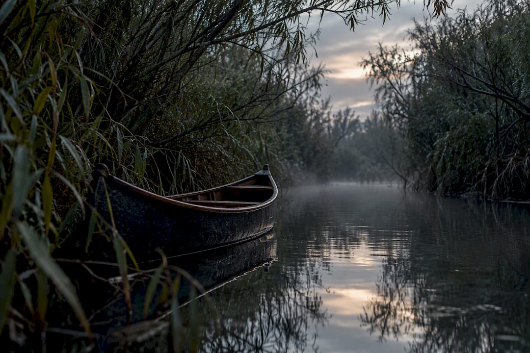 Canoe surrounded by flooded willow thickets