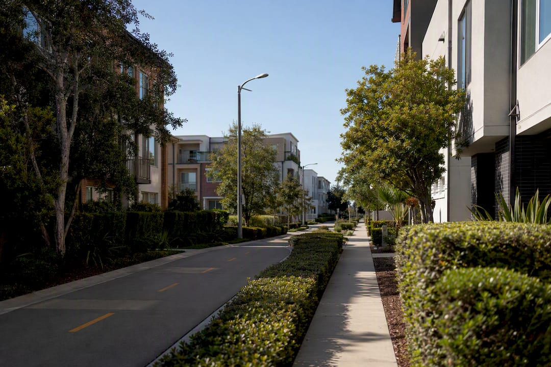 Orderly Playa Vista residential street under sunlight