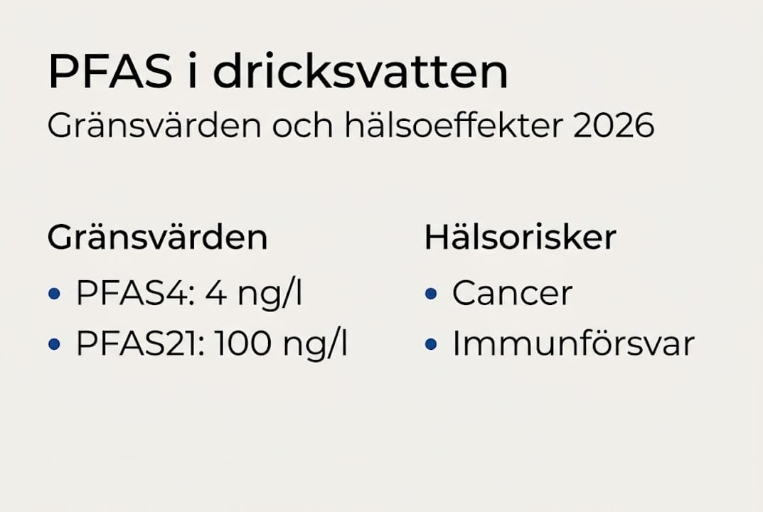 Infografik: PFAS – gränsvärden och hur din hälsa påverkas