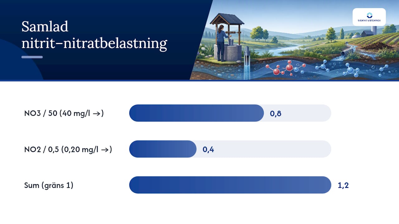 Diagram över samlad riskbedömning för nitrit och nitrat