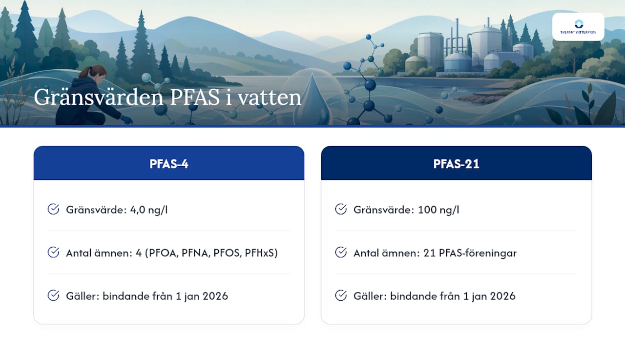 Diagram som jämför gränsvärden för PFAS-4 och PFAS-21