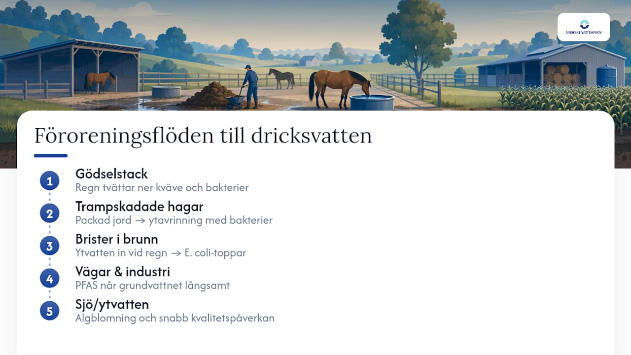 Föroreningskällor som påverkar vattnet på hästgården