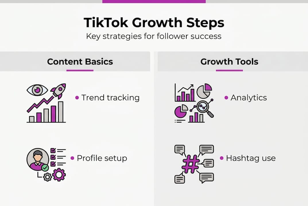 Infographic with TikTok follower growth steps