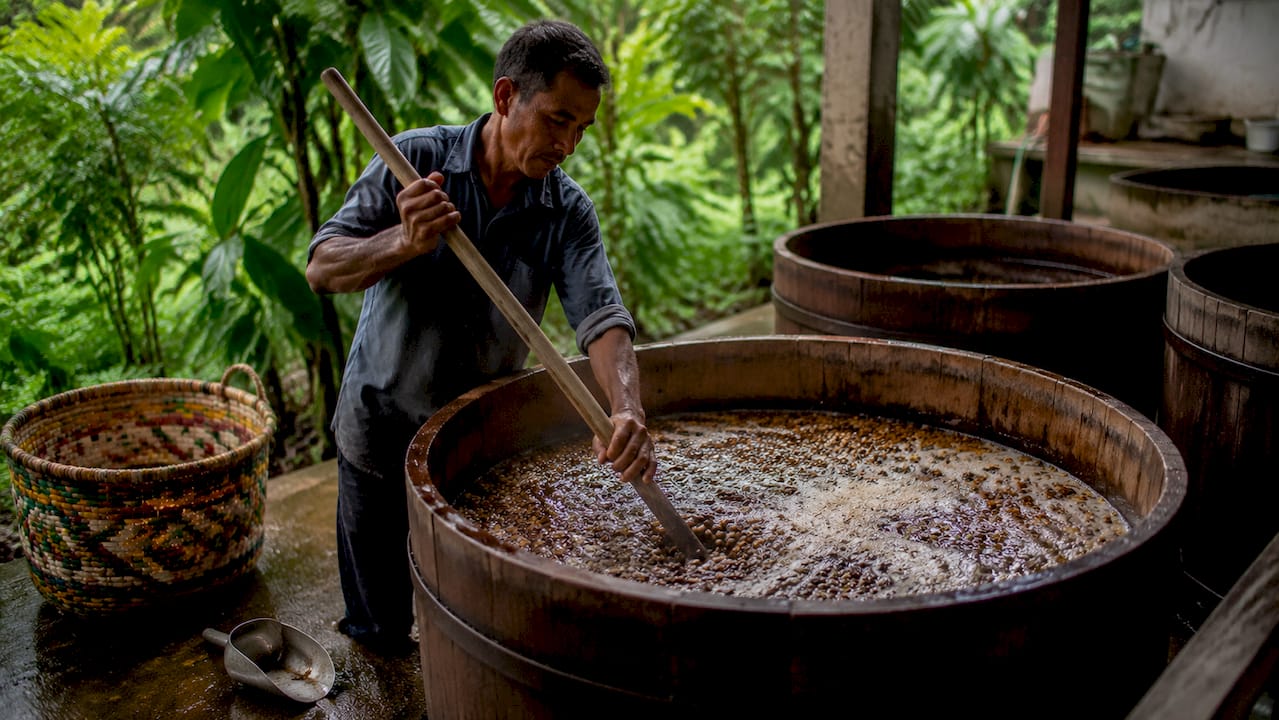 Hands stirring coffee beans in fermentation tank outdoors