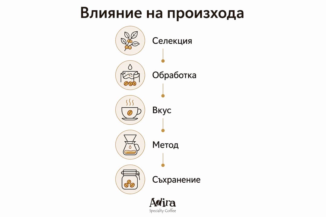 Графика, която показва ключовите фактори и стъпки, влияещи на аромата и качеството на кафето