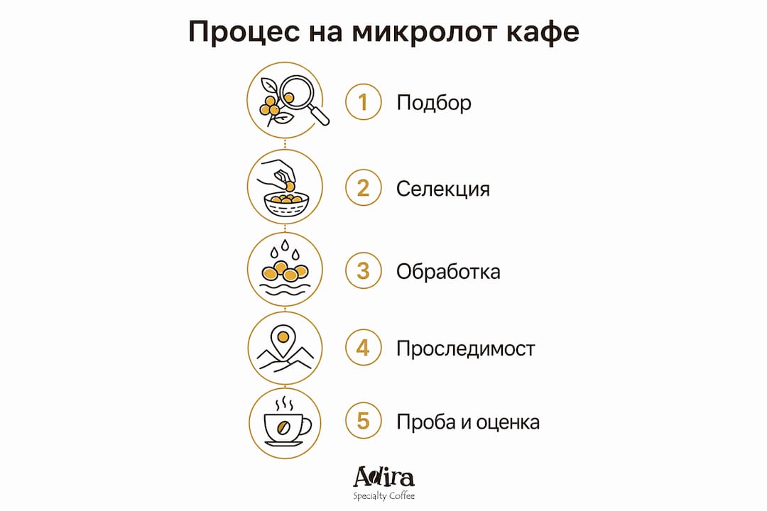 Инфографика, която онагледява стъпките при производството на микролот кафе