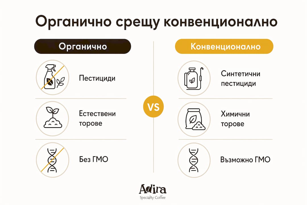 Инфографика, която показва разликите между био кафе и стандартно кафе