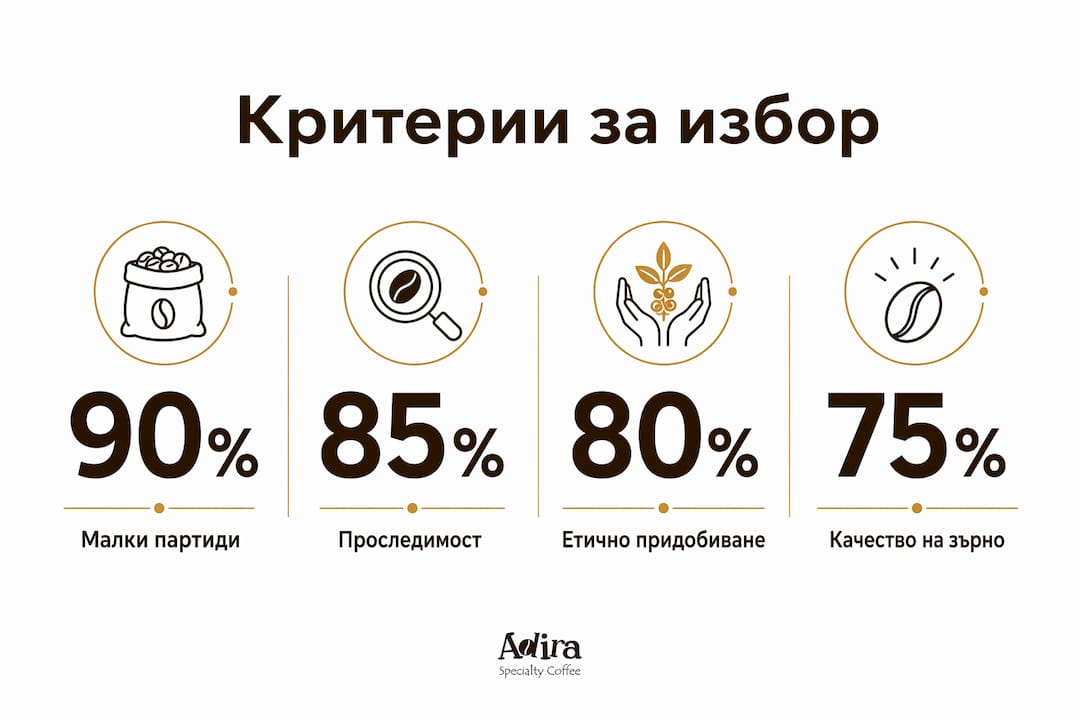 Инфографика: Какво да гледаме при избора на доставчик на кафе