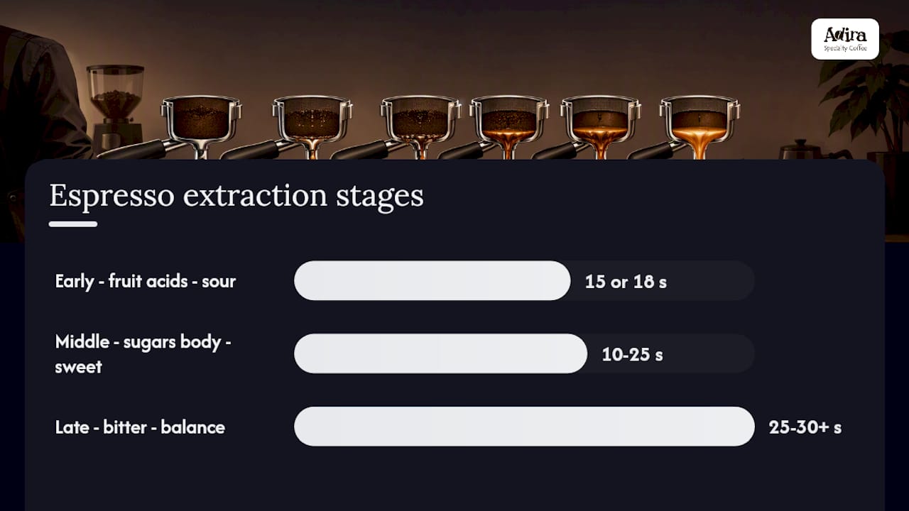 Diagram of espresso extraction stages and corresponding flavors