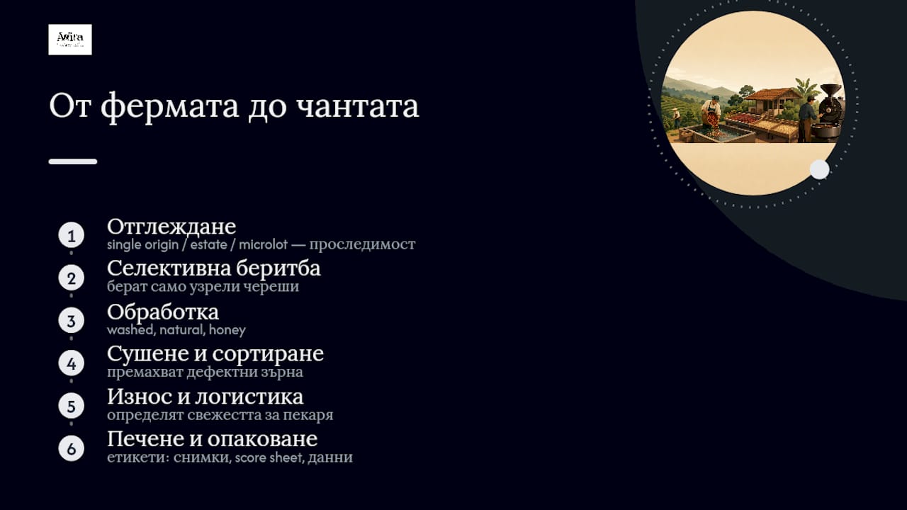 Схема, показваща целия път на кафето – от плантацията до готовото пакетче.