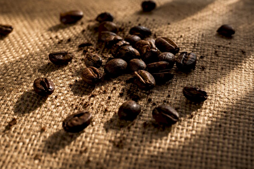 Close-up of dark roasted coffee beans showing texture