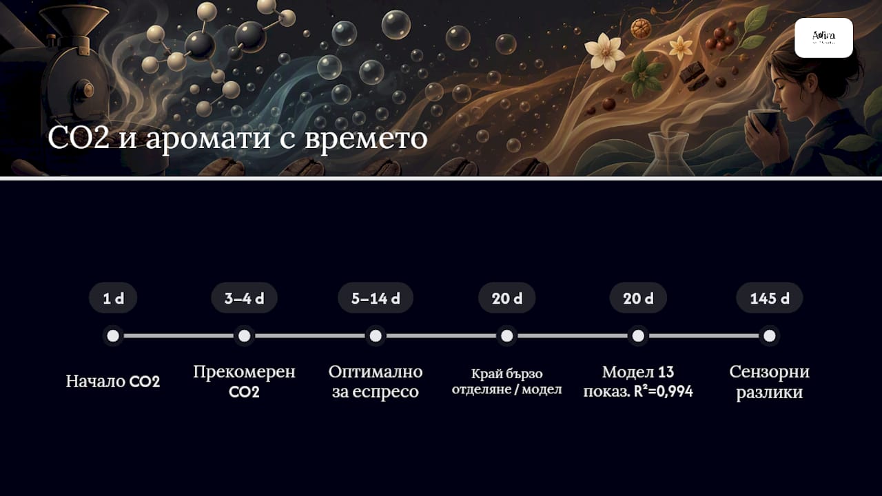 Хронология на свежестта на кафето
