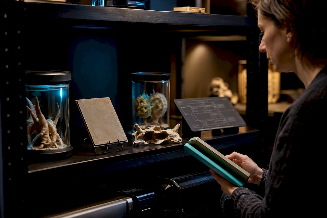 Science-fiction specimen props in an archive