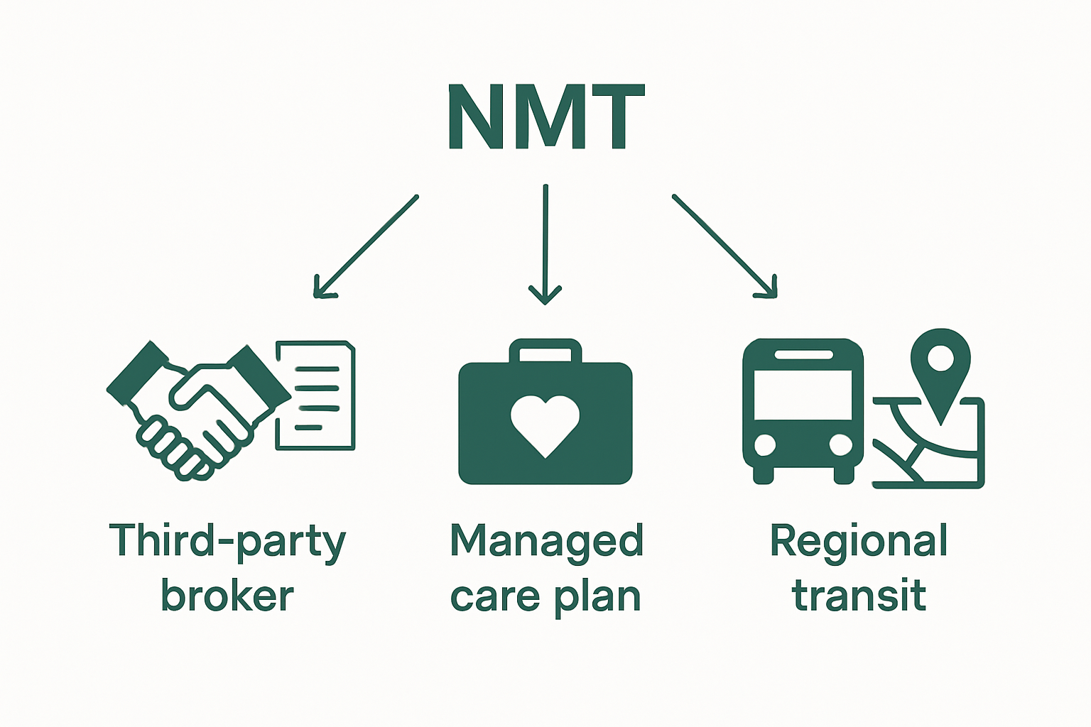 Understanding the Non Medical Transportation Business