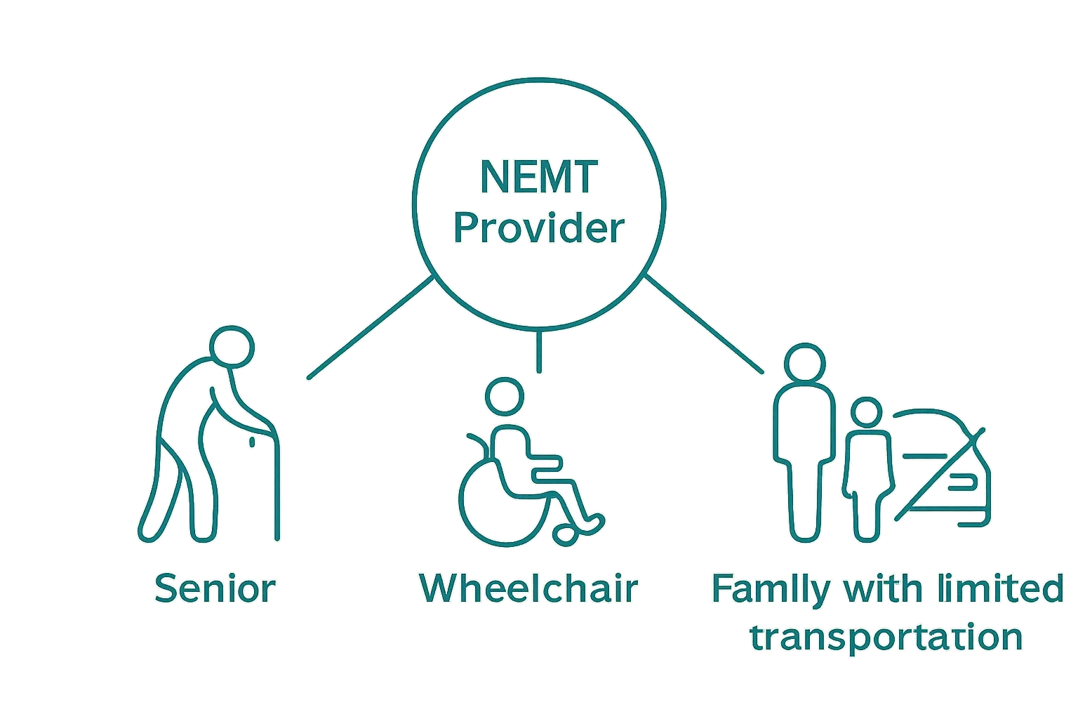 Infographic showing types of patients served by NEMT providers