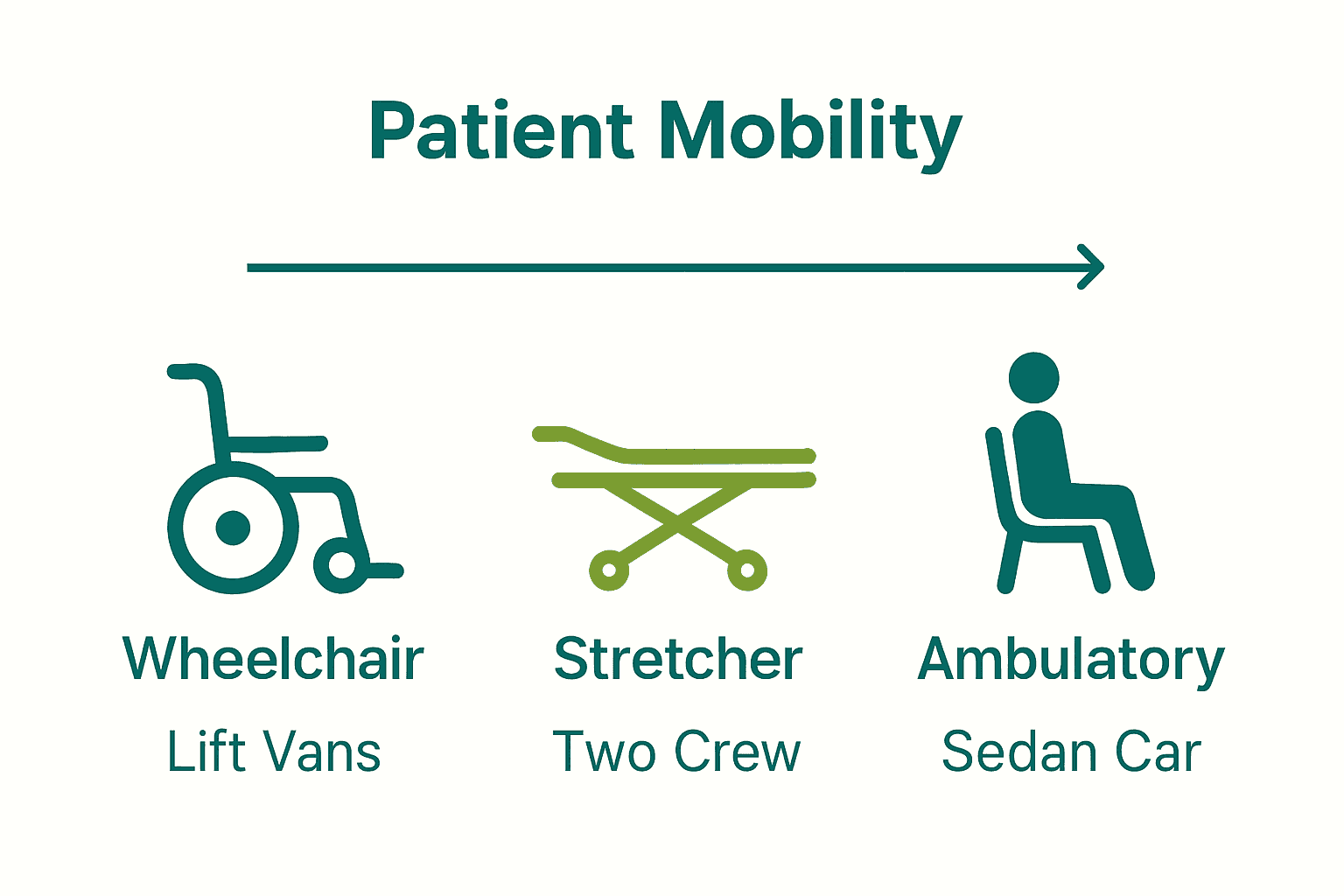 Infographic comparing three main types of NEMT service vehicles by patient need.