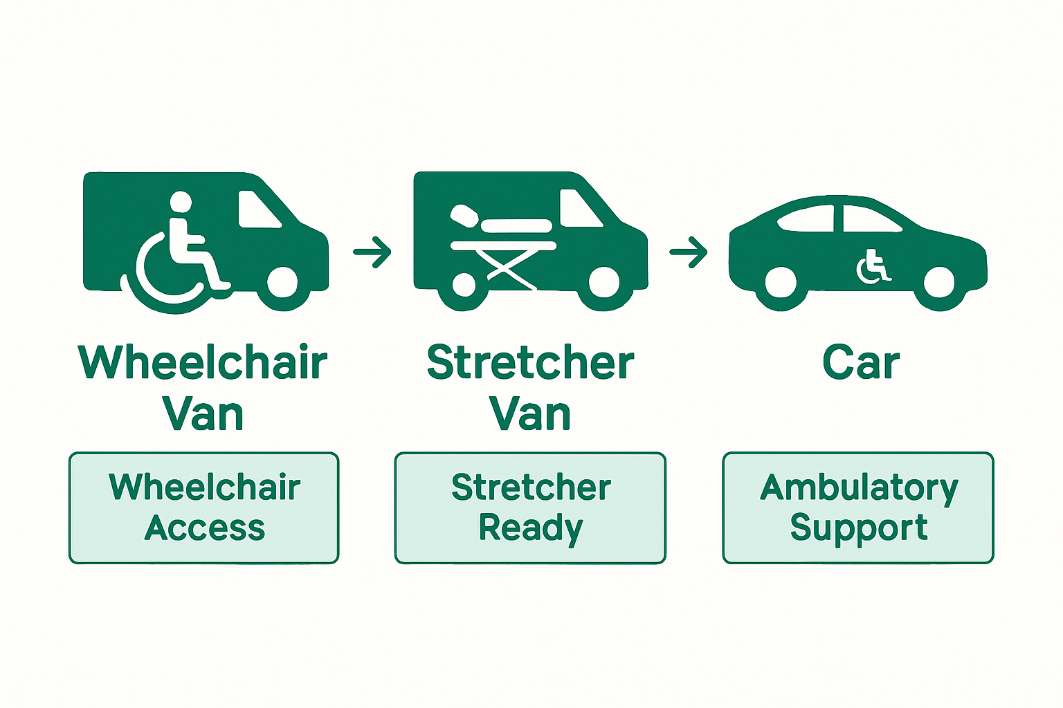 Infographic compares patient transport vehicle types