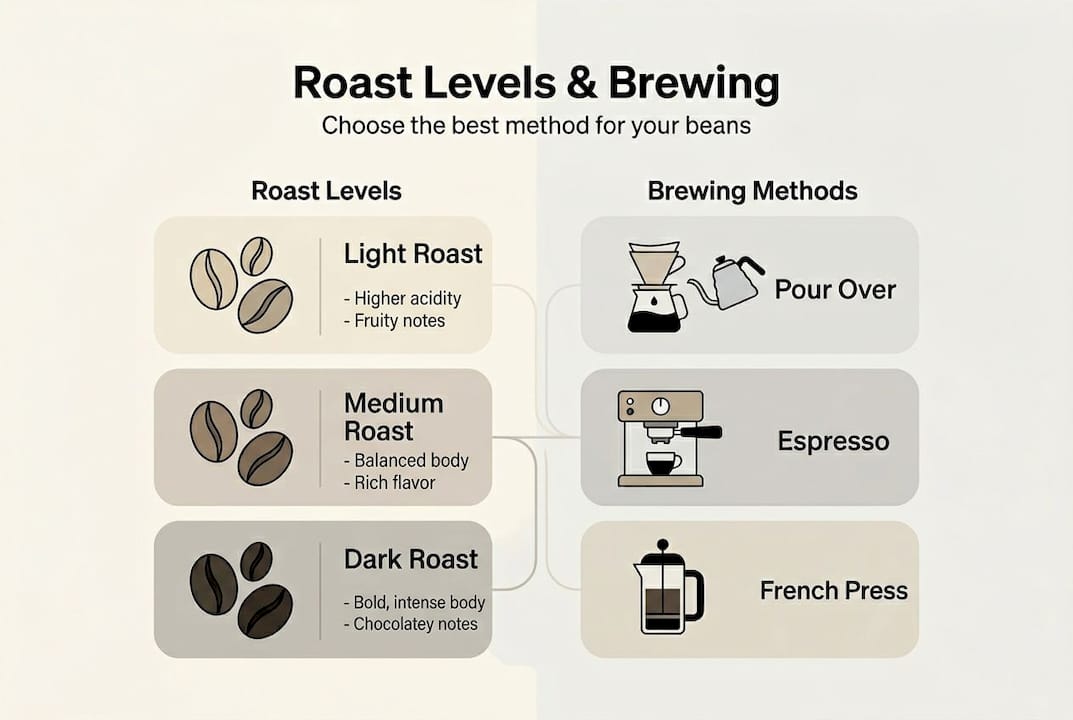 Infographic of coffee roast levels and brewing methods