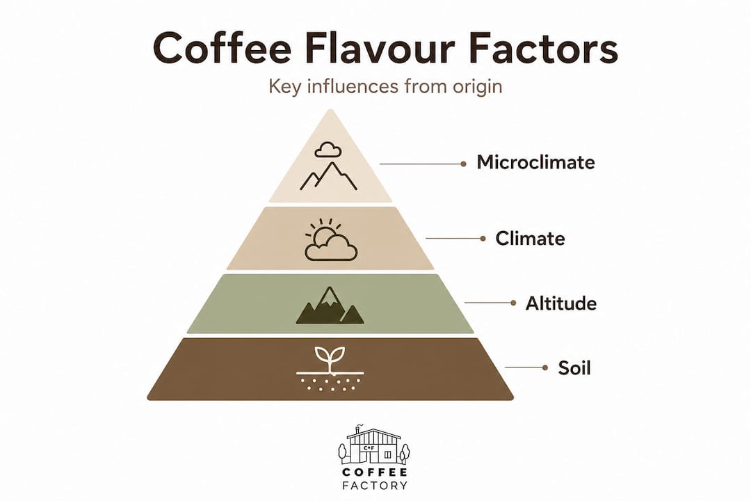 Infographic showing pyramid of coffee flavour factors