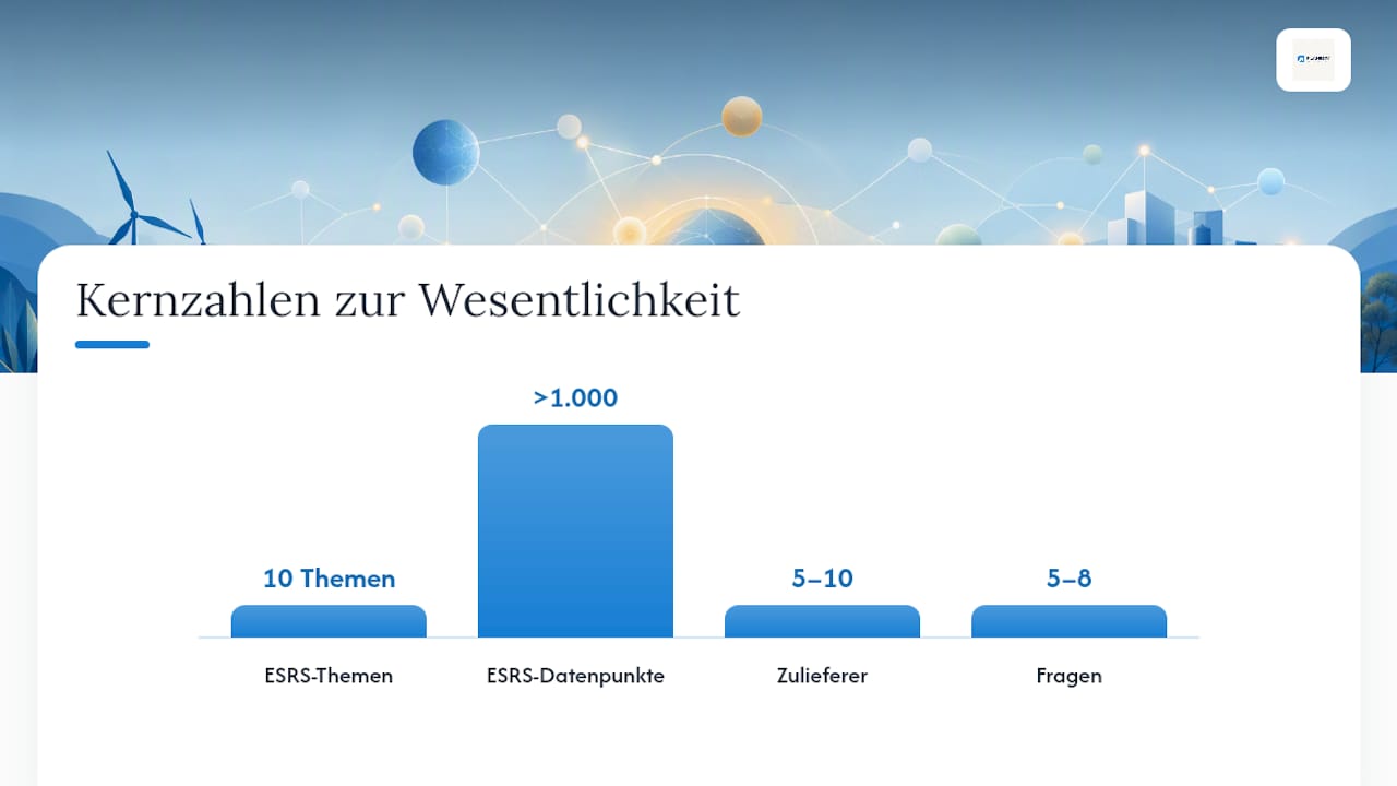 Wie führen Sie die doppelte Wesentlichkeitsanalyse durch? — overview diagram