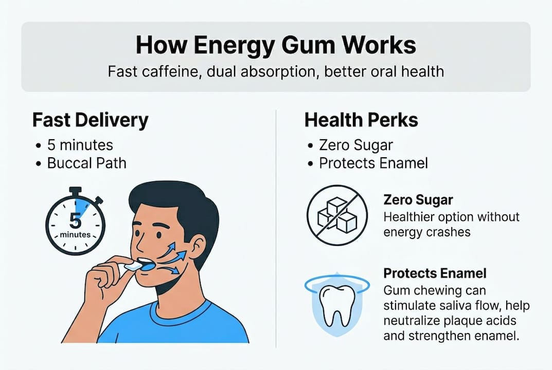 Infographic showing energy gum absorption and benefits