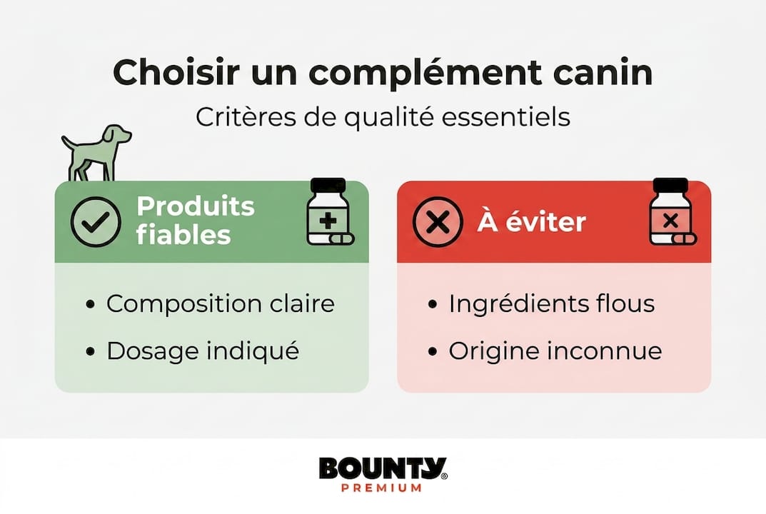 Infographie : comment reconnaître un complément alimentaire de qualité pour votre chien ?
