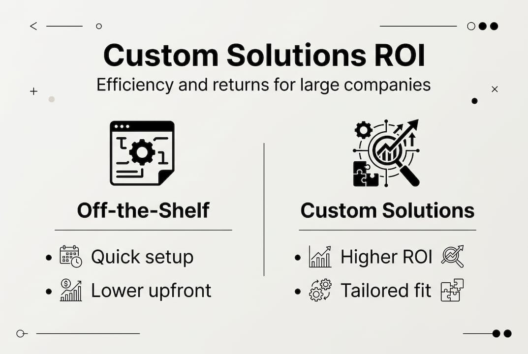 Infographic comparing custom solution ROI with standard